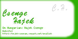 csenge hajek business card
